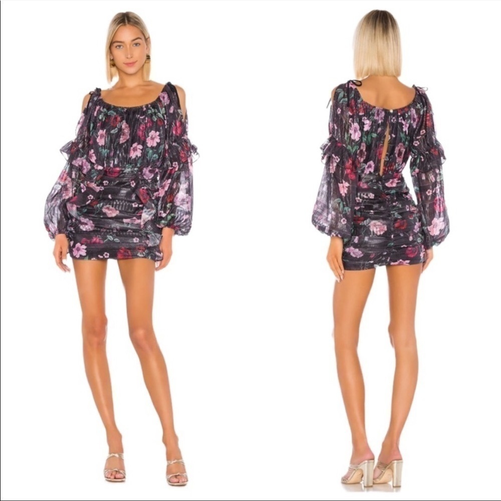 Tularosa NWT Floral Cheyenne Dress - Picture 1 of 5